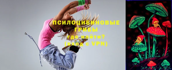 бошки Абаза